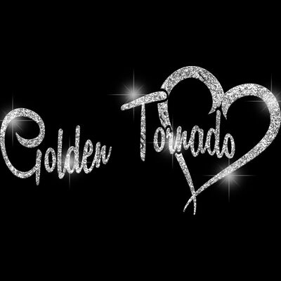 GLT6 SILVER GLITTER Thumbnail